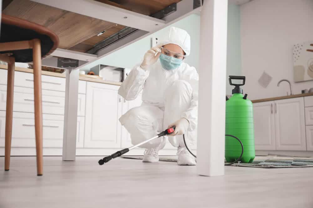 Odor Removal