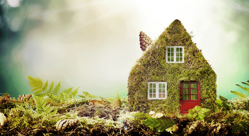 Eco-Friendly Solutions