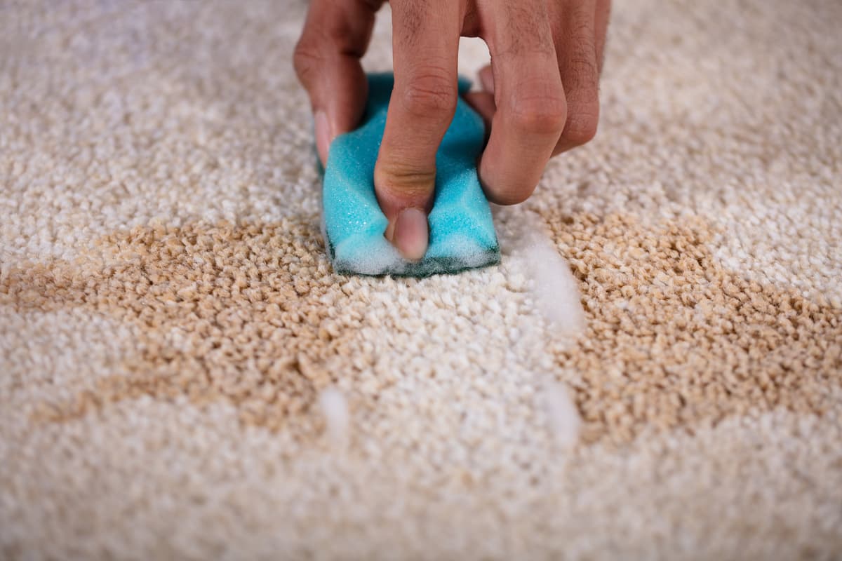 Stain Removal