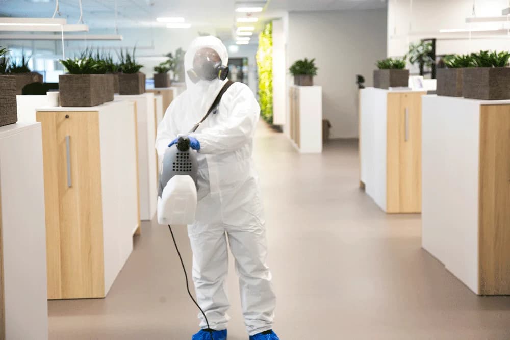 Disinfection