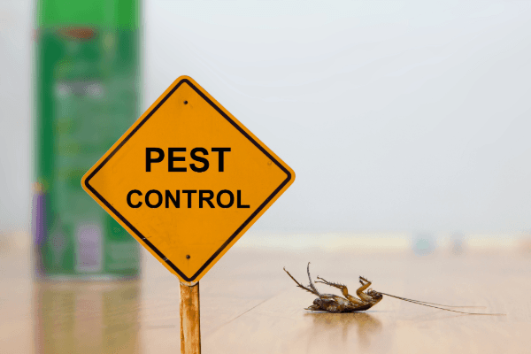 Pest Control Services in Qatar