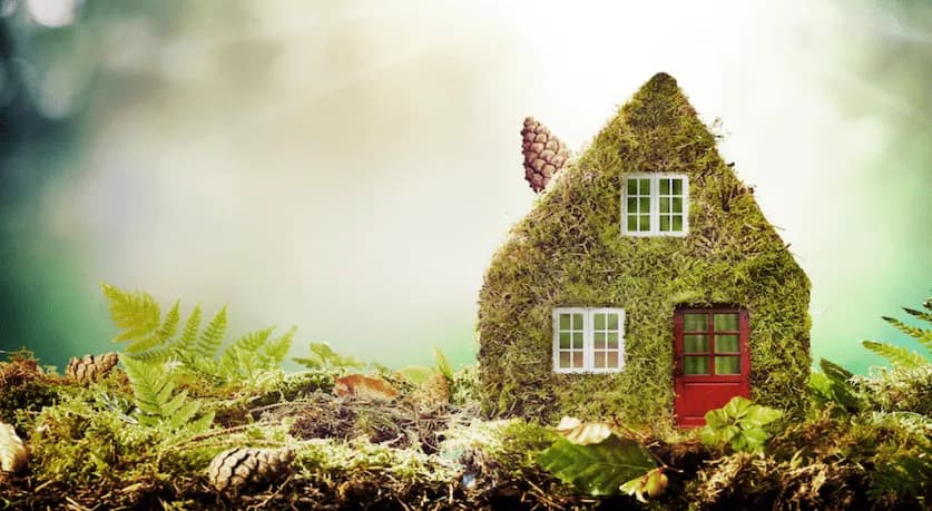 Eco-Friendly Solutions