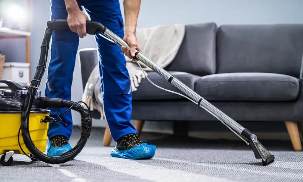 Professional Carpet Cleaning Services for a Healthier Home