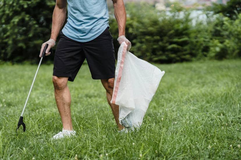 Pest Control in Al Zubara