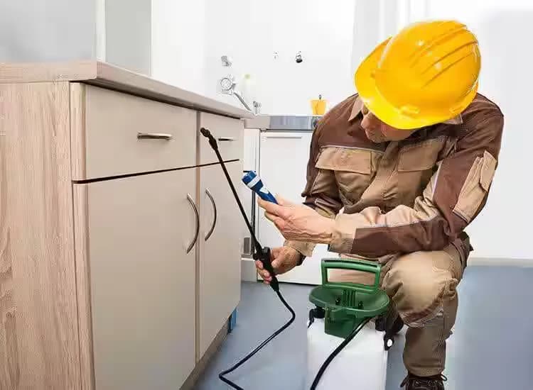 Choose Our Reliable Pest Control Company Qatar for Lasting Results